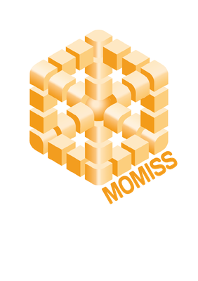 Logo MoMISSS